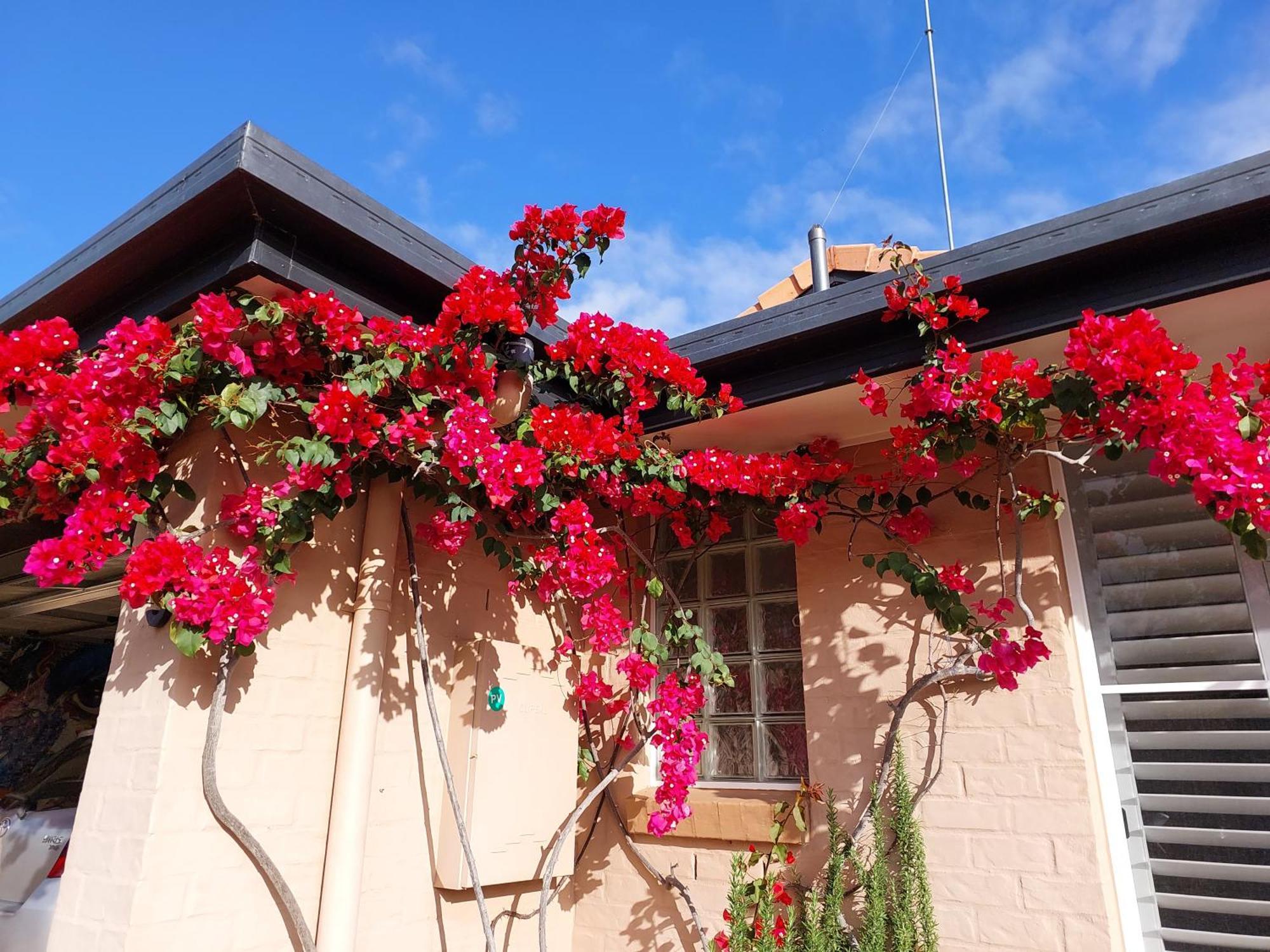 Summerhouses นูซาวิลล์ ภายนอก รูปภาพ